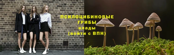 круглые Бронницы