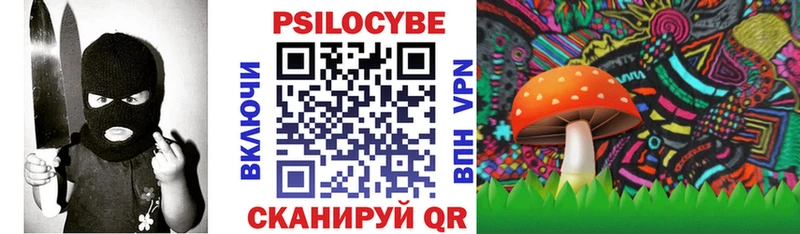 Псилоцибиновые грибы Psilocybine cubensis  Лянтор 